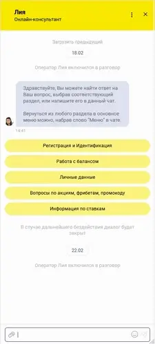 Онлайн чат с техподдержкой