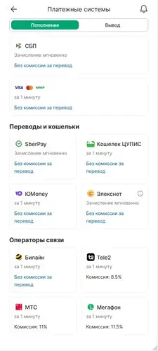 Способы пополнить счет в БК Лига Ставок