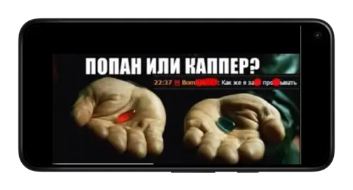 Папан или профессионал в ставках