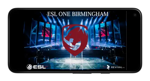Dota-2. ESL One Birmingham 2024 турнир от betteam.pro