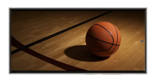 Как выглядит баскетбольный мяч