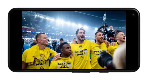 Боруссия Дортмунд