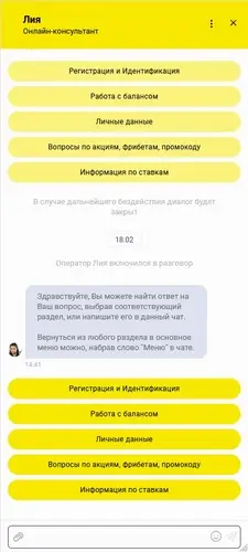 Общение с оператором техподдержки в онлайн чате BetBoom