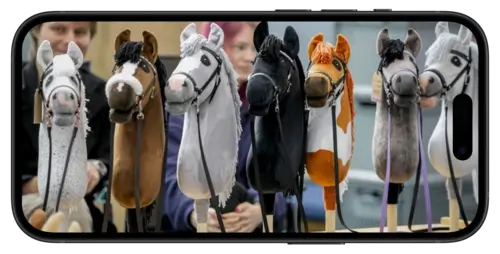 Разные виды хоббихорсов