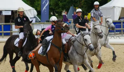 Игроки и лошади в хорсболе