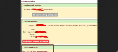 Процесс идентификации в Tennisi