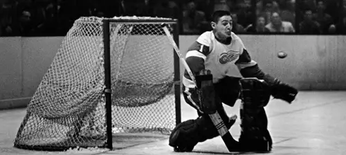 Вратарь Терри Совчук