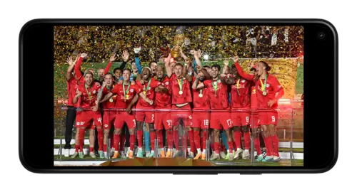 Обладатель кубка страны