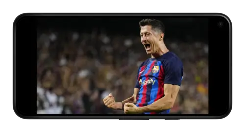 Лучший бомбардир