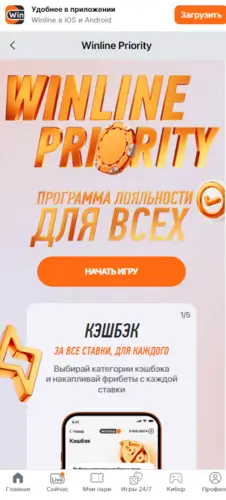 Программа лояльности в Винлайн