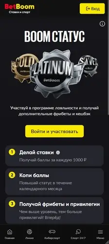 Бонусная программа Boom Статус
