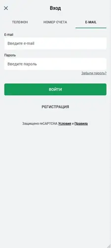 Панель входа в личный кабинет Леон
