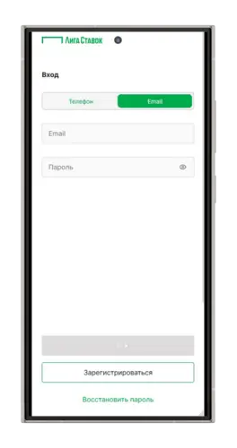 Вход в личный кабинет Лиги Ставок