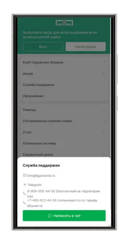 Способы связи с техподдержкой Лиги Ставок