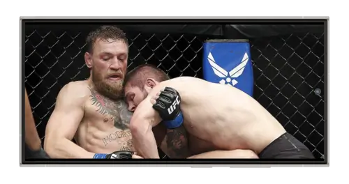 Бой Конора Макгрегора против Хабиба Нурмагомедов