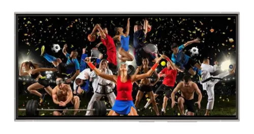 Популярные виды спорта для ставок