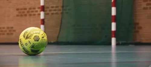 Пример футзального мяча
