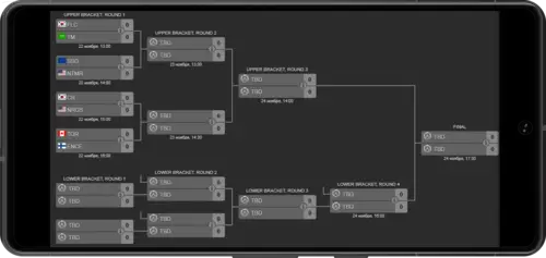 Турнирная сетка Overwatch Champions Series 2024 Finals