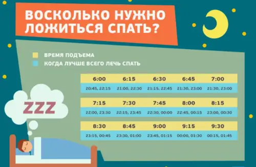 Сколько нужно спать беттору в день