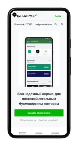 Самоограничения в ЕЦУПИС: приложение
