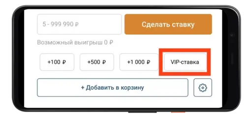 Прием VIP-ставок в Зенит