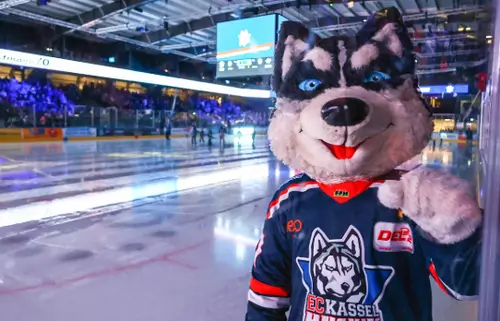 Кассель Хаскис